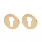 Изображение товара Накладка под цилиндр ET.R.YM FSG-39 флор. золото