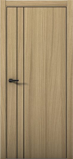 Межкомнатная дверь с экошпоном Aurum Doors Плутоний Pu 4 Дуб Светлый Black Edition — фото 1