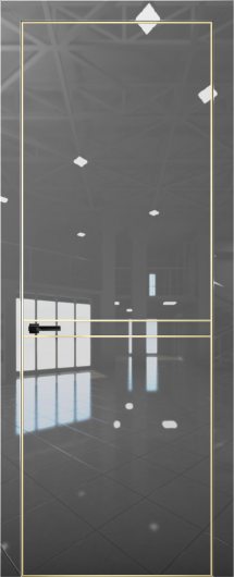 Межкомнатная дверь с экошпоном Aurum Doors Платина Pt 9 Crystall Gray Gold Edition — фото 1